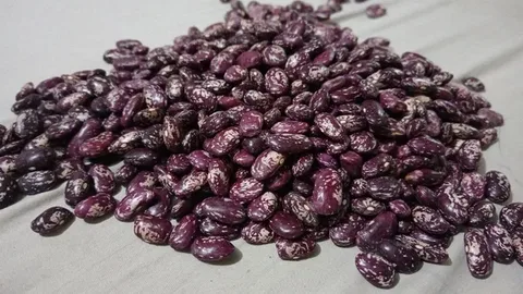 تصویر 4 از لوبیا چیتی صنعتی دانه سالم و خوش پخت